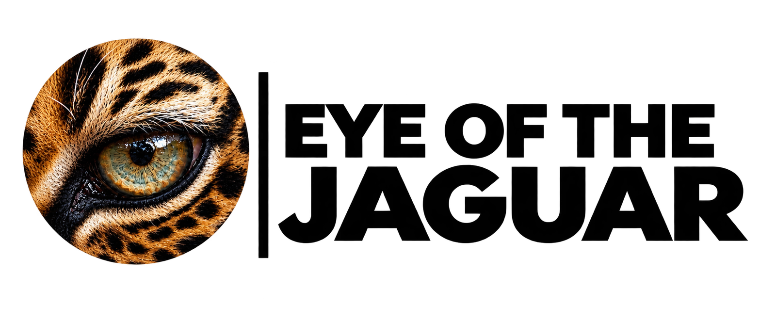 Eye Of The Jaguar