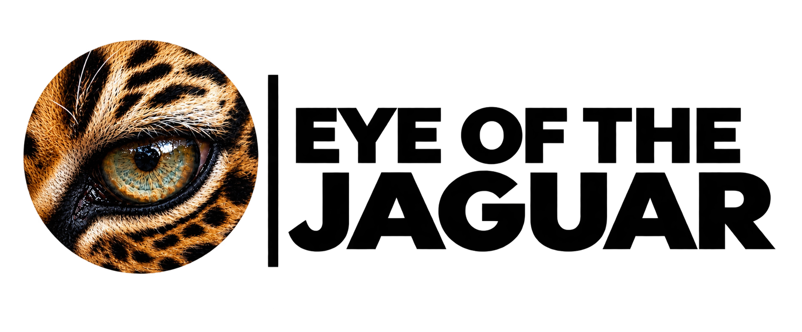 Eye Of The Jaguar